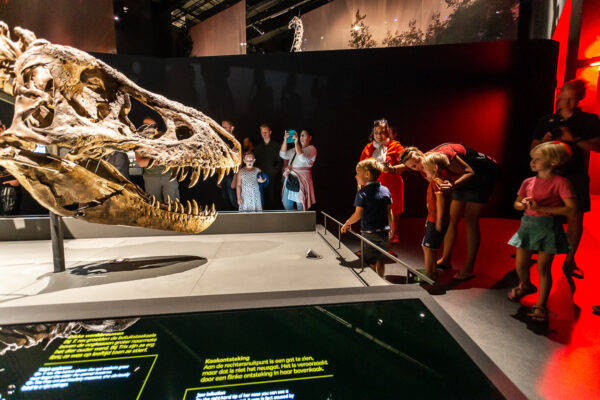 Naturalis Leiden © Copyright Naturalis Biodiversity Center / Koen Mol