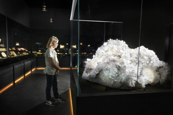 Naturalis Leiden © Copyright Naturalis Biodiversity Center / Taco van der Eb