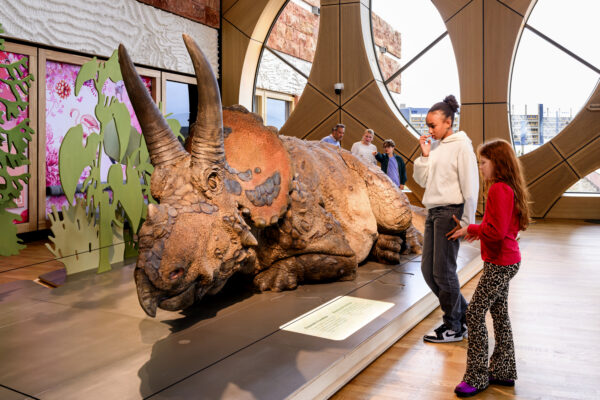 Naturalis Leiden © Copyright Naturalis Biodiversity Center / Mike Bink