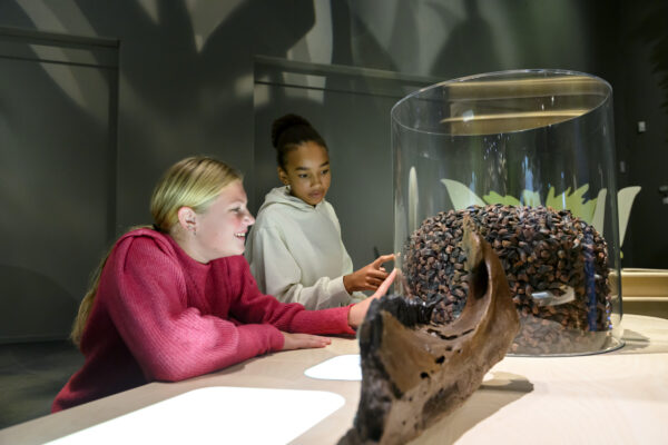 Naturalis Leiden © Copyright Naturalis Biodiversity Center / Mike Bink