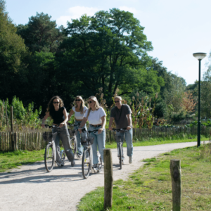 Kickbike © Copyright Uitjesrooi