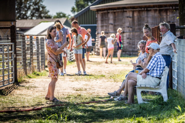Alpacafarm © Copyright Alpacafarm Vorstenbosch