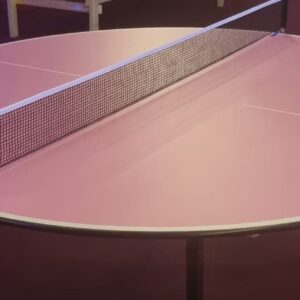 Crazy Pong © Copyright The Madhouse NL