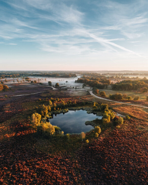 Balloërveld © Marketing Drenthe