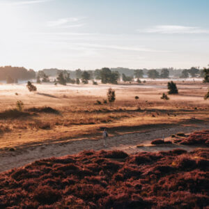 Natuur