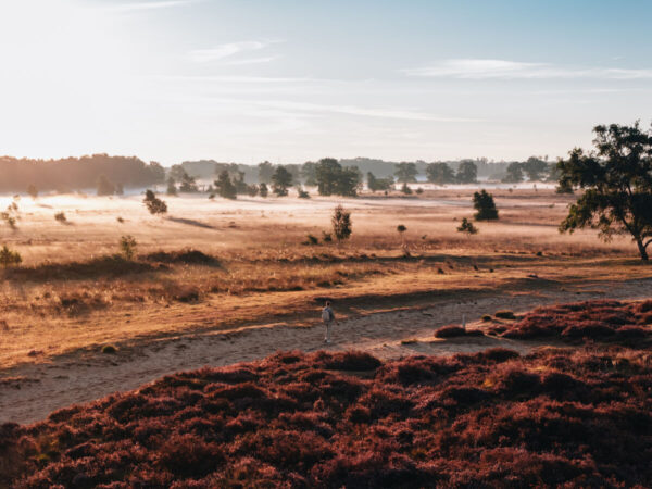 Balloërveld © Marketing Drenthe