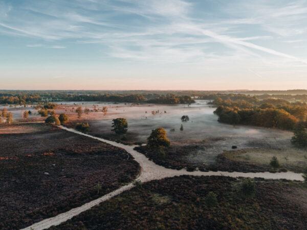 Balloërveld © Marketing Drenthe
