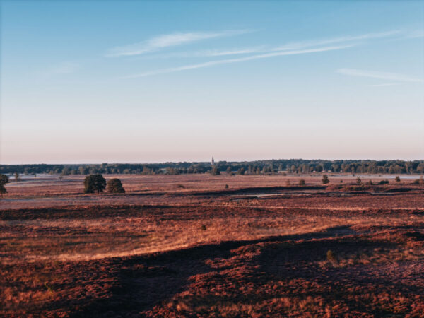 Balloërveld © Marketing Drenthe