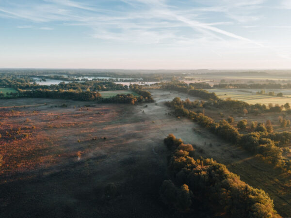 Balloërveld © Marketing Drenthe