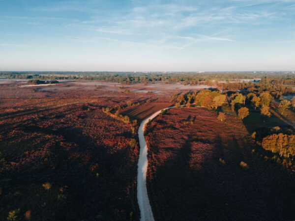 Balloërveld © Marketing Drenthe