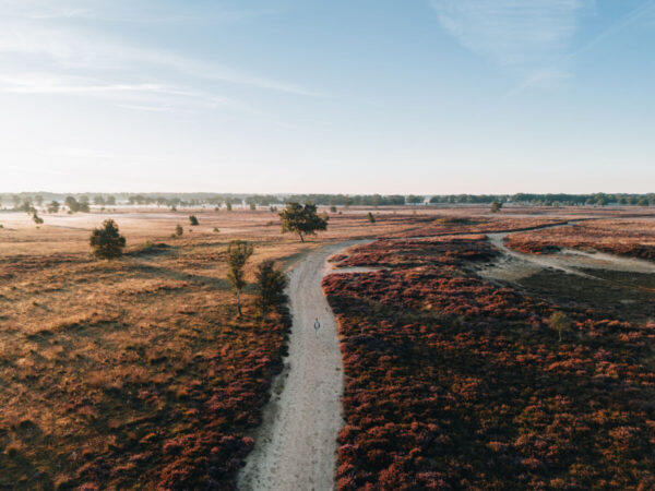 Balloërveld © Marketing Drenthe
