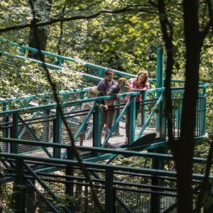 Boomkroonpad © Marketing Drenthe, Foto: Marilyn Fotografie