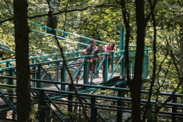 Boomkroonpad © Marketing Drenthe, Foto: Marilyn Fotografie