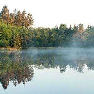 Nationaal Park Drents-Friese Wold © Marketing Drenthe, Foto: Eelco Roos