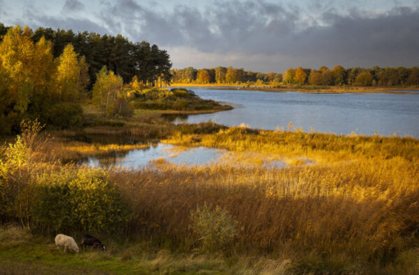 Dwingerderveld © Marketing Drenthe - Foto: Karin Broekhuijsen