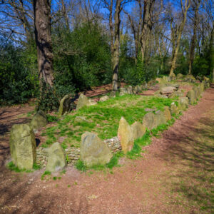 Hunebed D43 © Hondsrug Drenthe