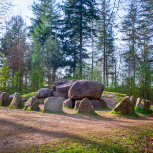 Hunebed D49 © Hondsrug Drenthe