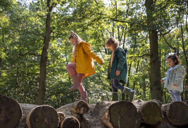 Roekpad © Marketing Drenthe