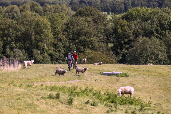 Col du Vam © Copyright Marketing Drenthe - Foto: Marcel J. de Jong