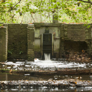 Waterloopbos © Visit Flevoland