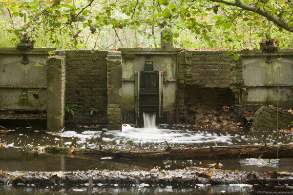 Waterloopbos © Visit Flevoland