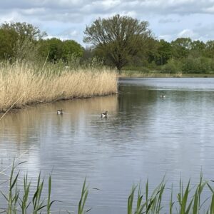 De Vilt © Copyright Land van Cuijk - Visit Land van Cuijk