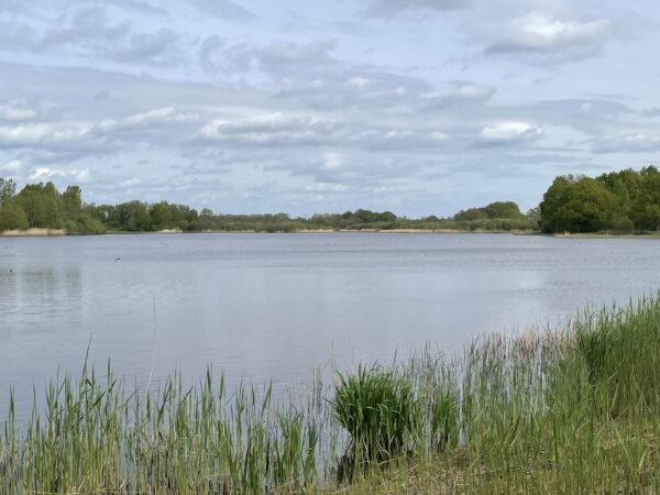 De Vilt © Copyright Land van Cuijk - Visit Land van Cuijk