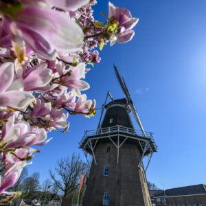 Molen Jan Pol © Copyright ToReCo