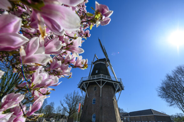 Molen Jan Pol © Copyright ToReCo