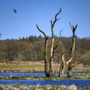 De Hoge Stoep © Copyright ToReCo - Marcel J de Jong