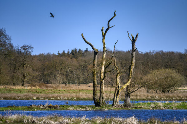 De Hoge Stoep © Copyright ToReCo - Marcel J de Jong