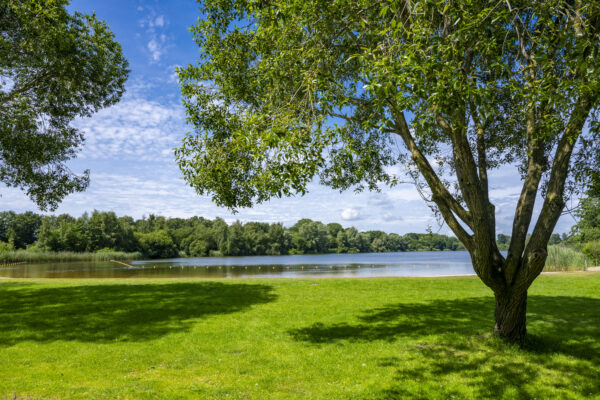 Klinkenvierse Plas © Copyright ToReCo - Marcel J de Jong