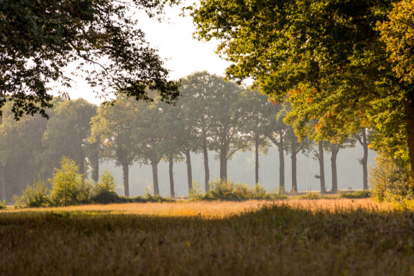 Landgoed de Utrecht © Copyright Brabant Partners