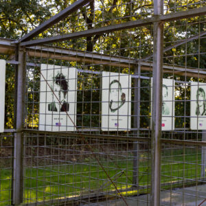 MOB Complex © Copyright Land van Cuijk - Eefke Peeters