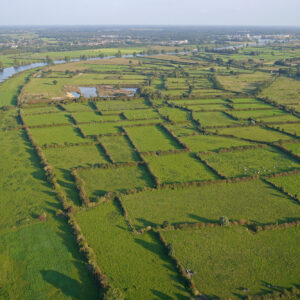 Maasheggen © Copyright Land van Cuijk - Visit Land van Cuijk