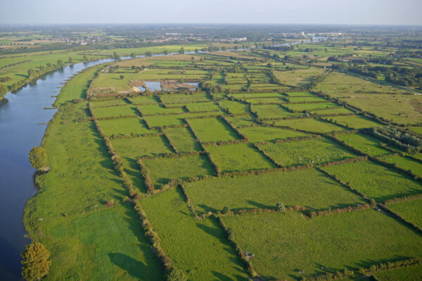 Maasheggen © Copyright Land van Cuijk - Visit Land van Cuijk