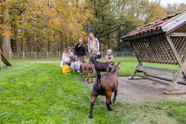 Hertenkamp © Copyright Friesland.nl Foto: Lydia Annema