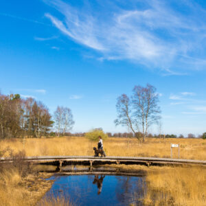 Strabrechtse Heide © Copyright Brabant Partners