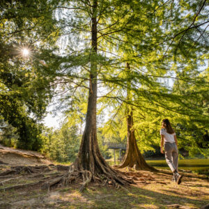 Tilburg Wandelbos © Copyright Brabant Partners
