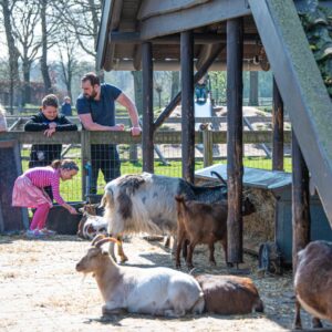 Boerderij Wolfslaar © Copyright Breda Marketing