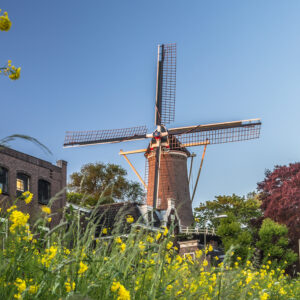 't Slot © Copyright VVV Gouda