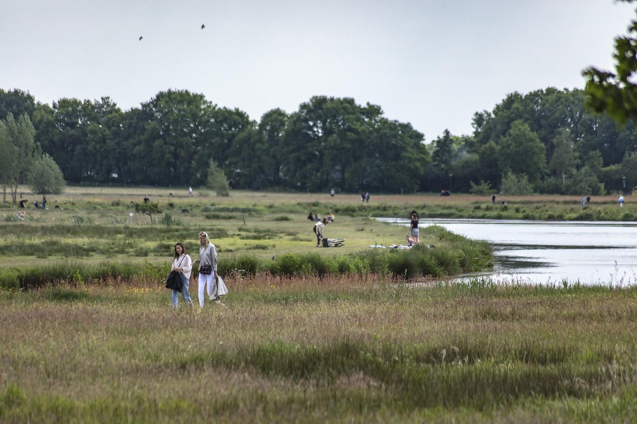 Markdal © Copyright Breda Marketing