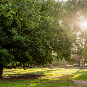 Martin Luther King Park © Copyright I Amsterdam - Koen Smilde