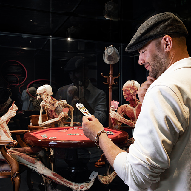 Combi-tickets Lovers © Copyright Lovers