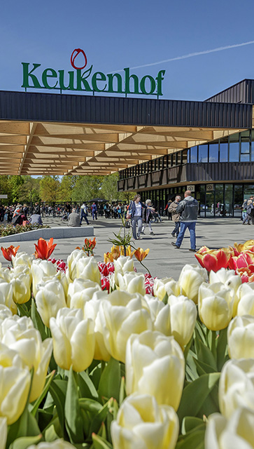 Combi-tickets Lovers © Copyright Lovers