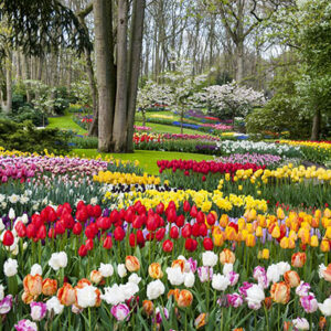 Combi-tickets Lovers © Copyright Lovers