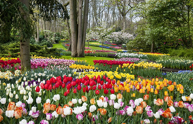 Combi-tickets Lovers © Copyright Lovers