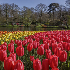 Combi-tickets Lovers © Copyright Lovers