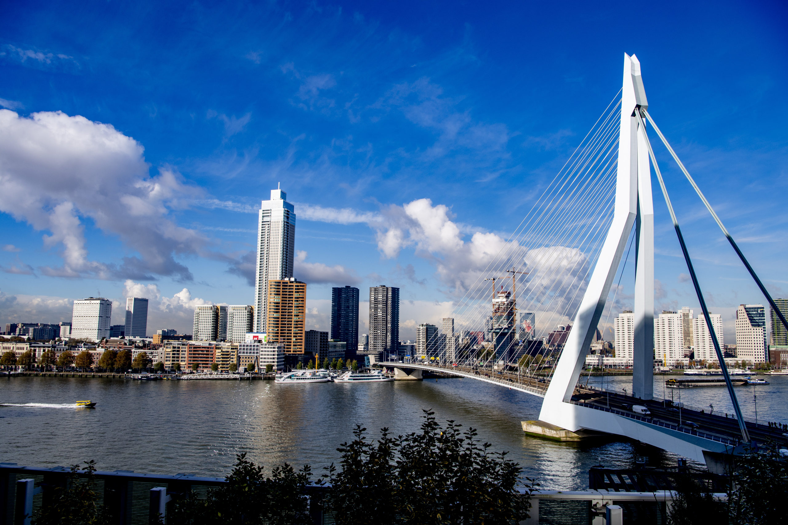 Erasmusbrug © Copyright Rotterdam Make It Happen - Robin Utrecht